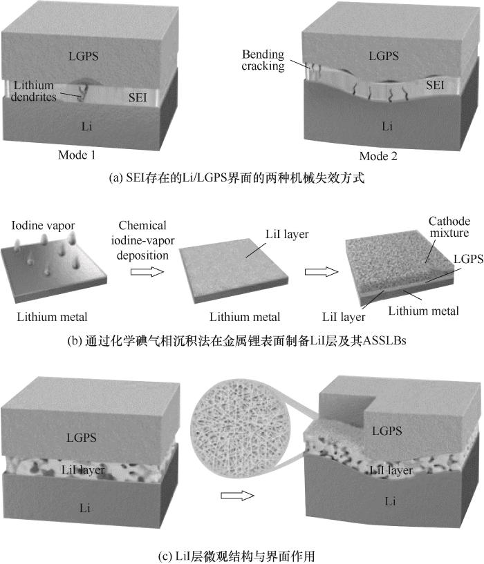 Abb.3 Schematische Darstellung der Schnittstelle zwischen LGPS und Li-Anode