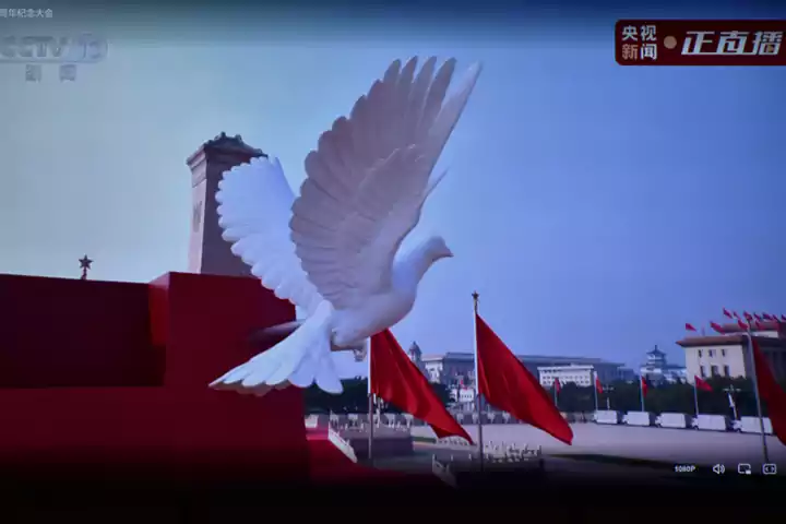 Patriotismus in Aktion: TOB New Energy organisiert Gruppenbesichtigung der Militärparade vom 3. September, um zu vereinen und die strebende Kraft zu inspirieren